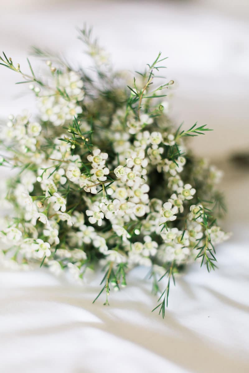 Bridal Blooms Tips On Choosing Your Bouquet Front Roe By Louise Roe