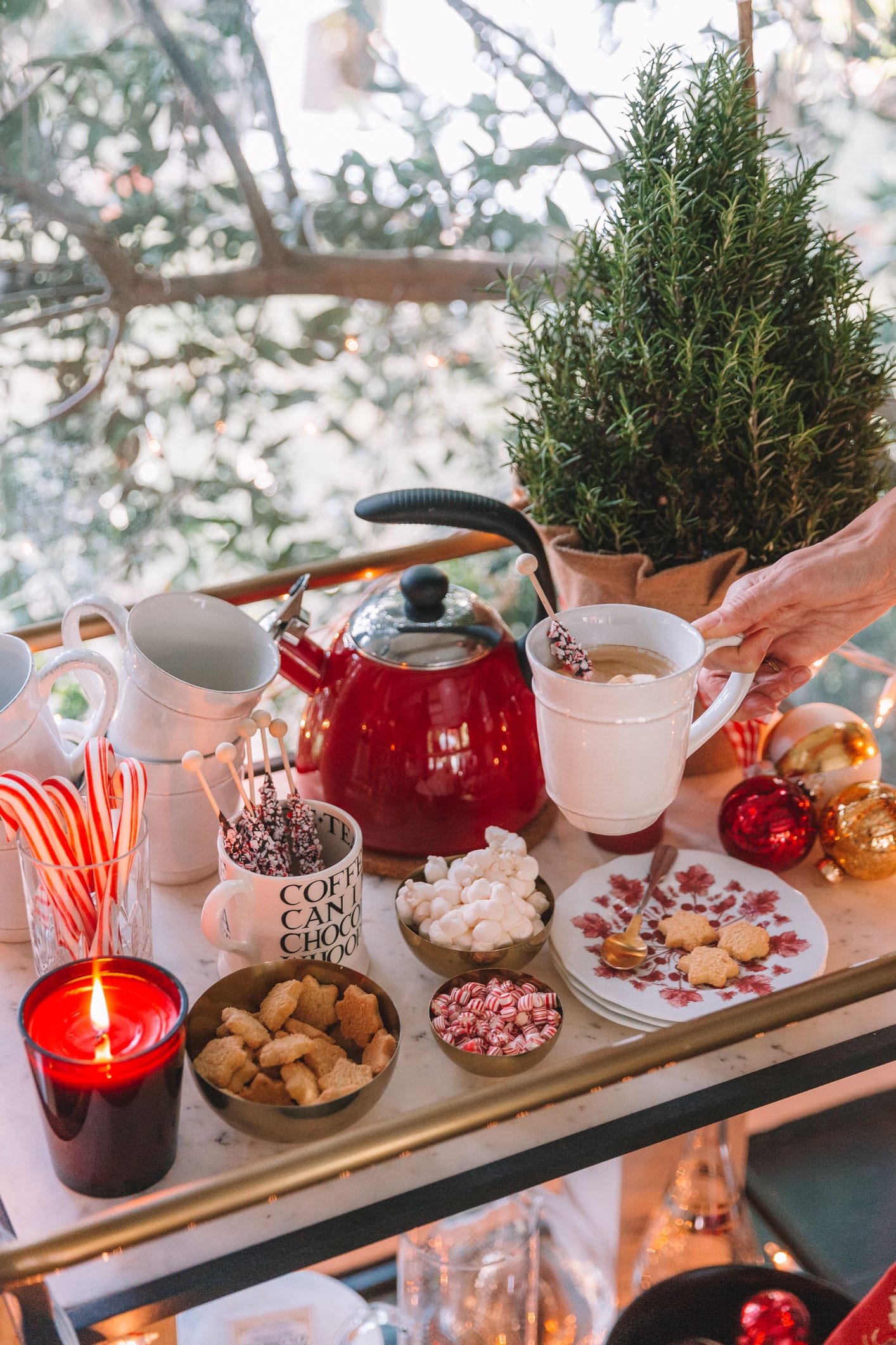 Louise Roe Holiday Hot Chocolate And Coffee Bar